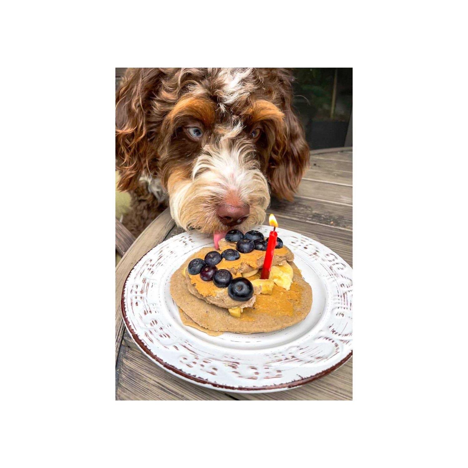 Bark Bistro Pooch Pancakes