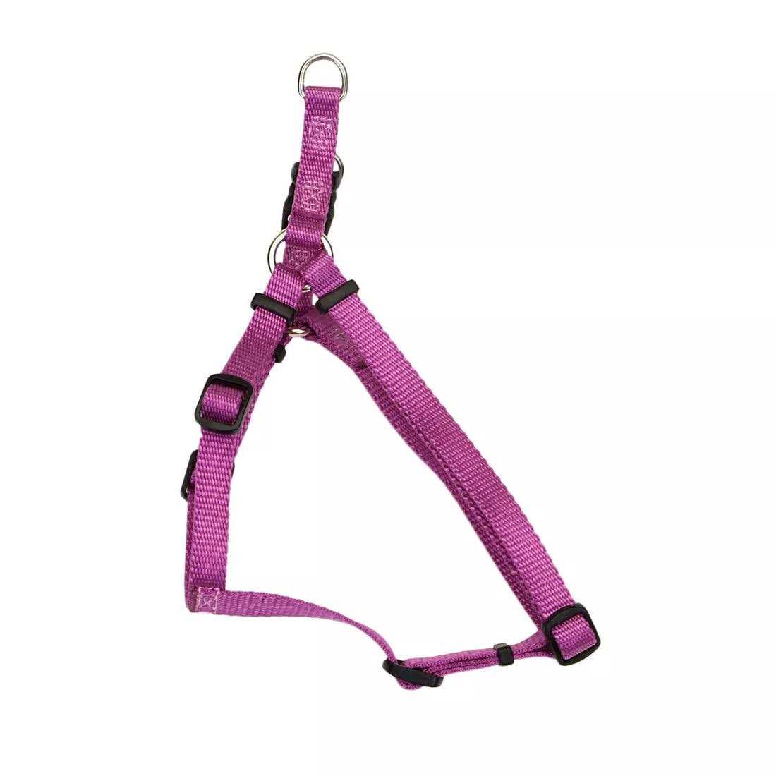 Coastal Comfort Wrap Adjustable Nylon Dog Harness