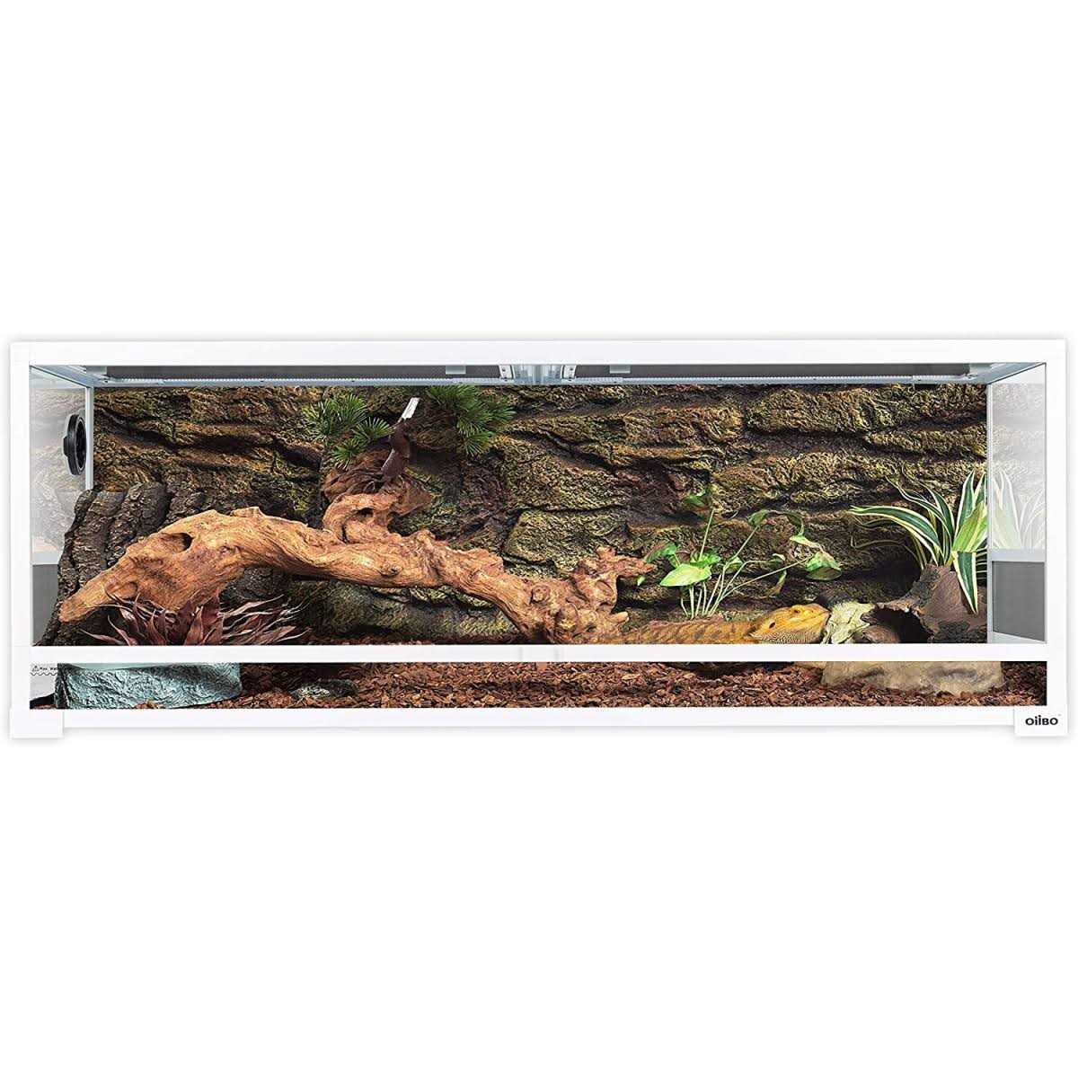 64 Gallon Terrarium OiiBO