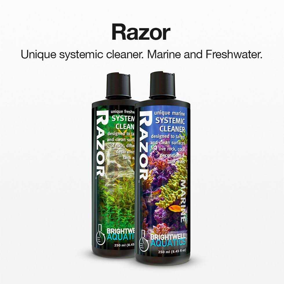 Brightwell Aquatics Razor Marine