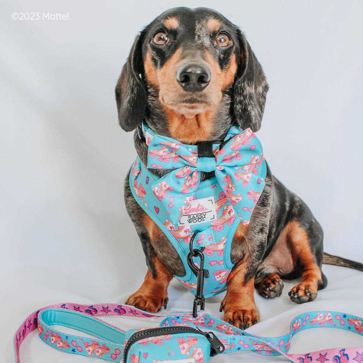 Barbie Dog Collar Sassy Woof