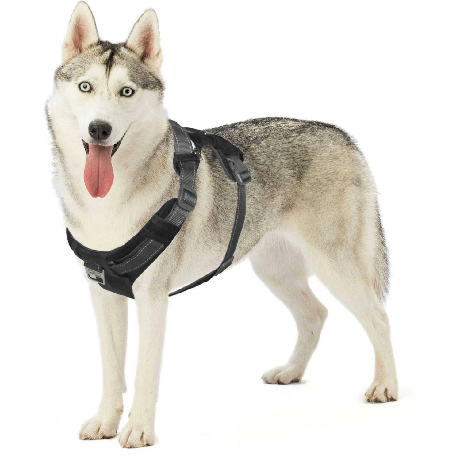 Outward Hound Boulder Adventure Adjustable Dog Harness with Pockets