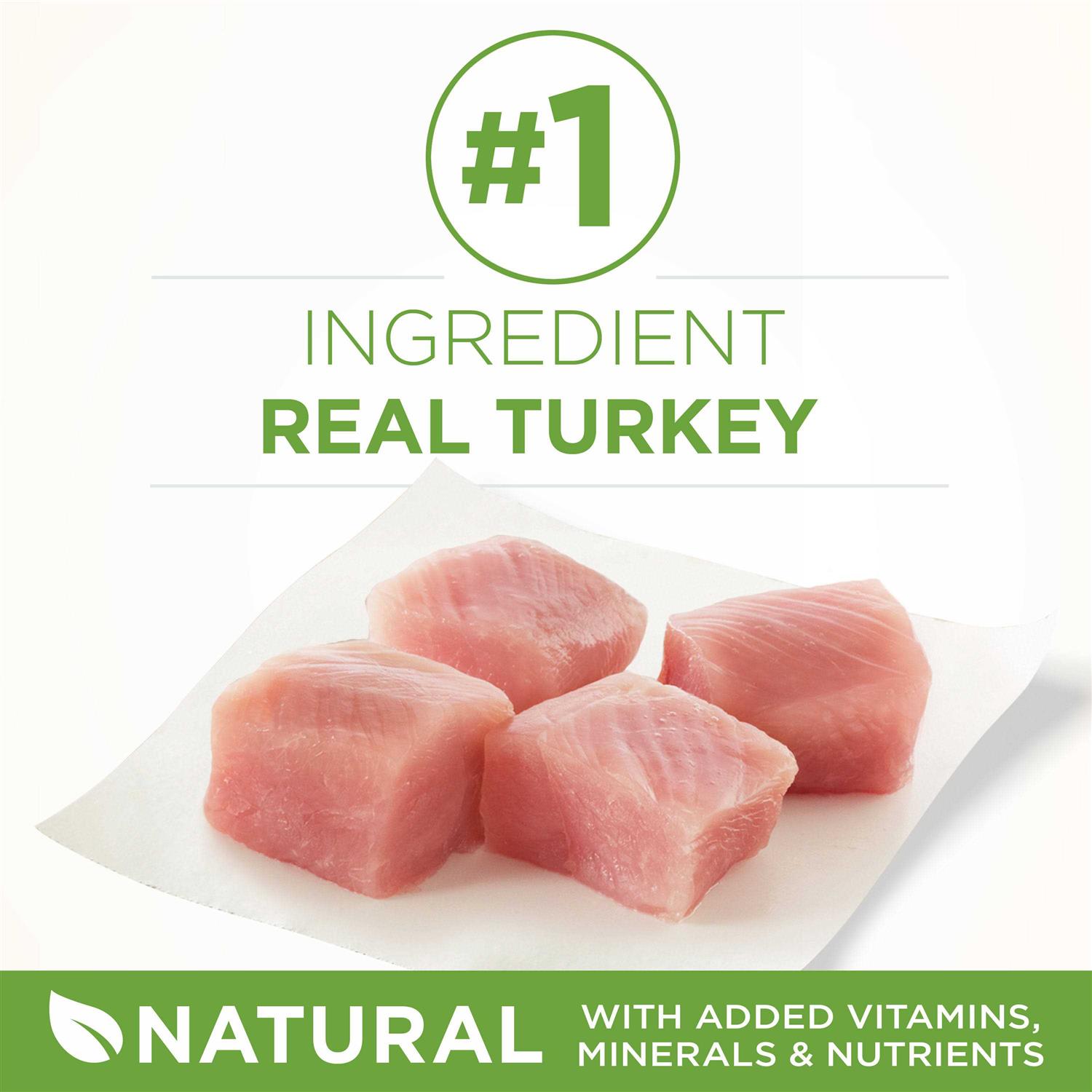 Purina ONE Indoor Advantage Dry Cat Food