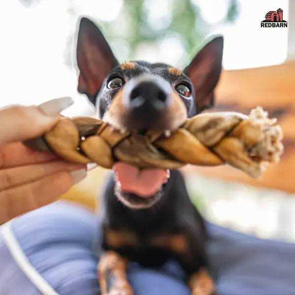 Redbarn Puffed Collagen Braid