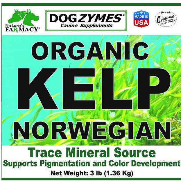Dogzymes Organic Norwegian Kelp with Organic Garlic