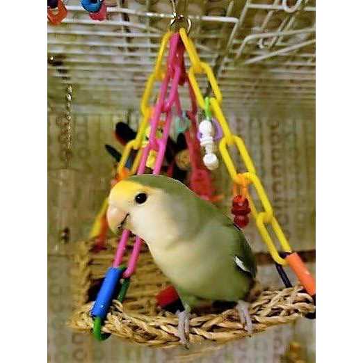 Super Bird Creations SB747 Mini Flying Trapeze Bird Toy