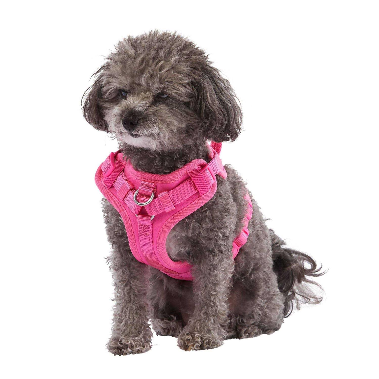 Top Paw Neoprene Comfort Dog Harness