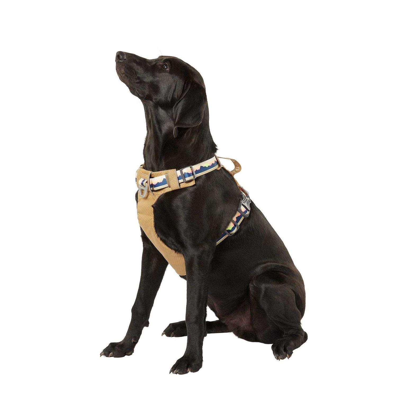 Arcadia Trail Lightweight Dog Harness