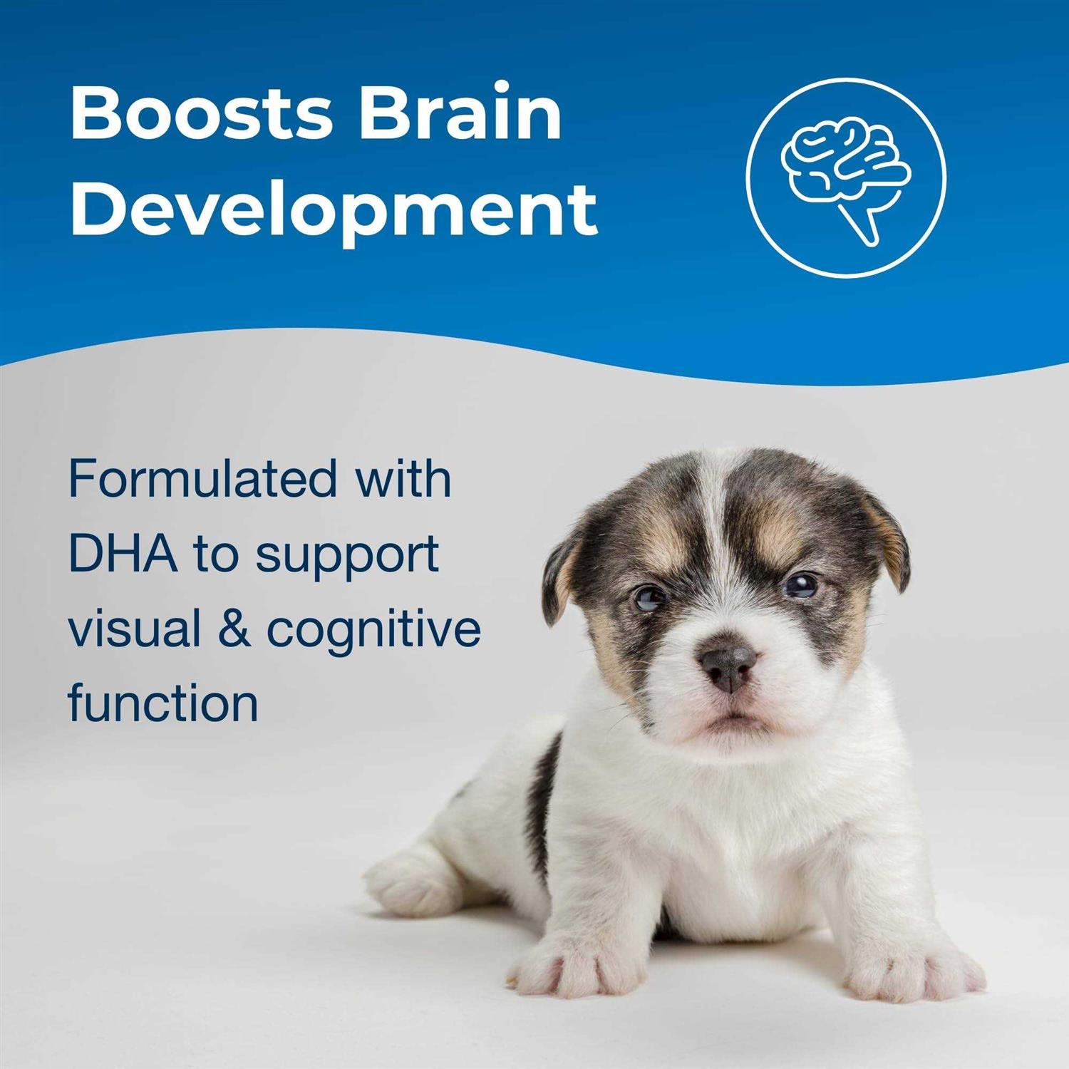 PetAg 2nd Step Esbilac Puppy Weaning Food