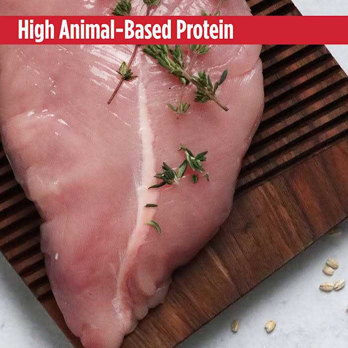 Nulo MedalSeries Turkey Small Breed Adult Dry Dog Food