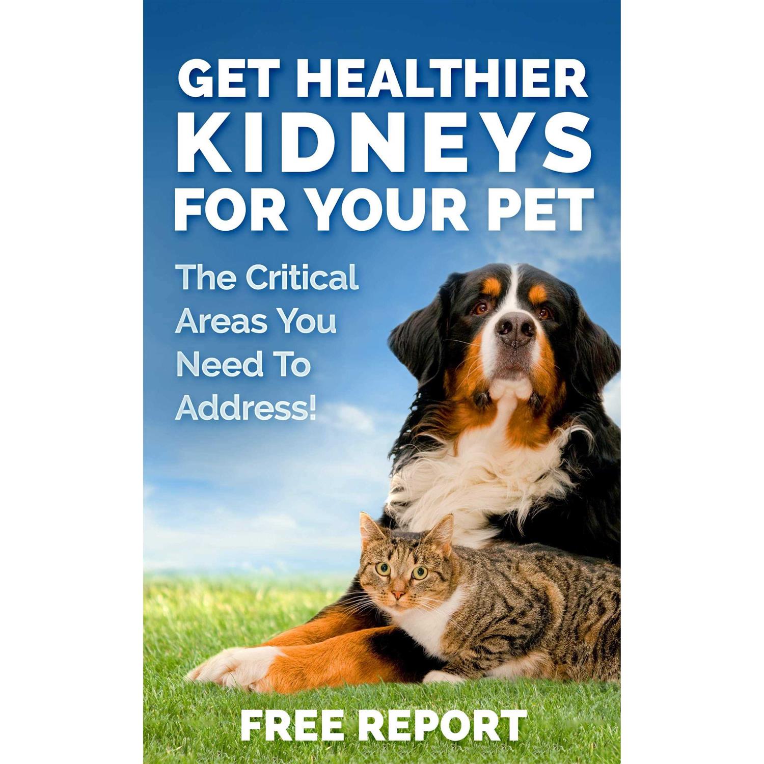 Dog and Cat Kidney Support Canine Feline Renal Health Support Supplement for Normal Kidney Function