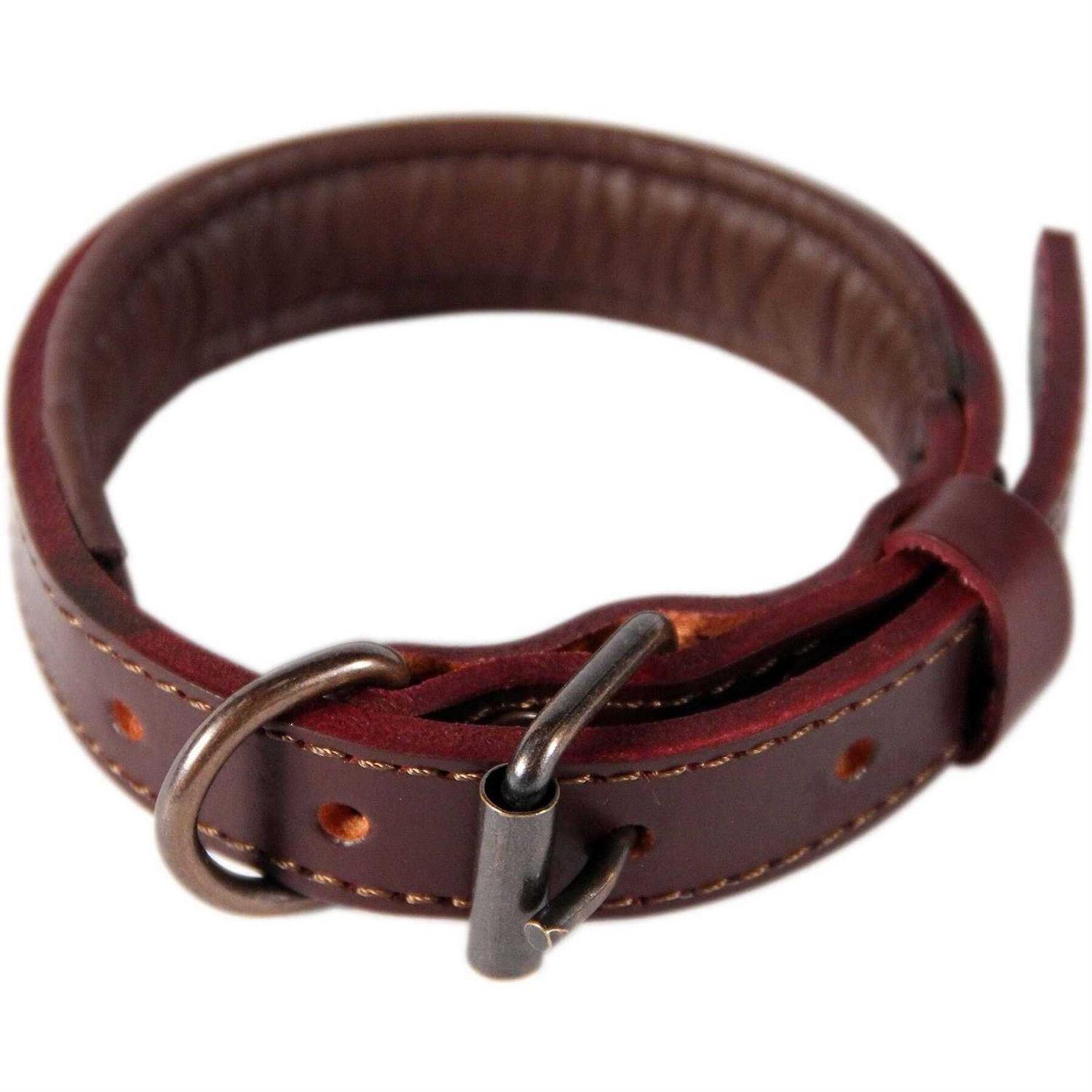 Logical Leather Padded Dog Collar Best Full Grain Genuine Leather Collar