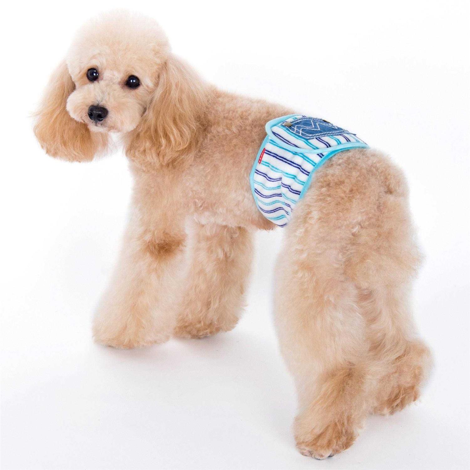 Alfie Pet Gaki Belly Band