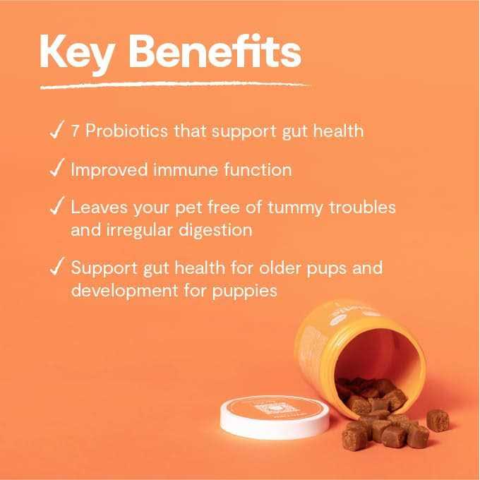 Open Farm Dog Supplement Probiotic Chews