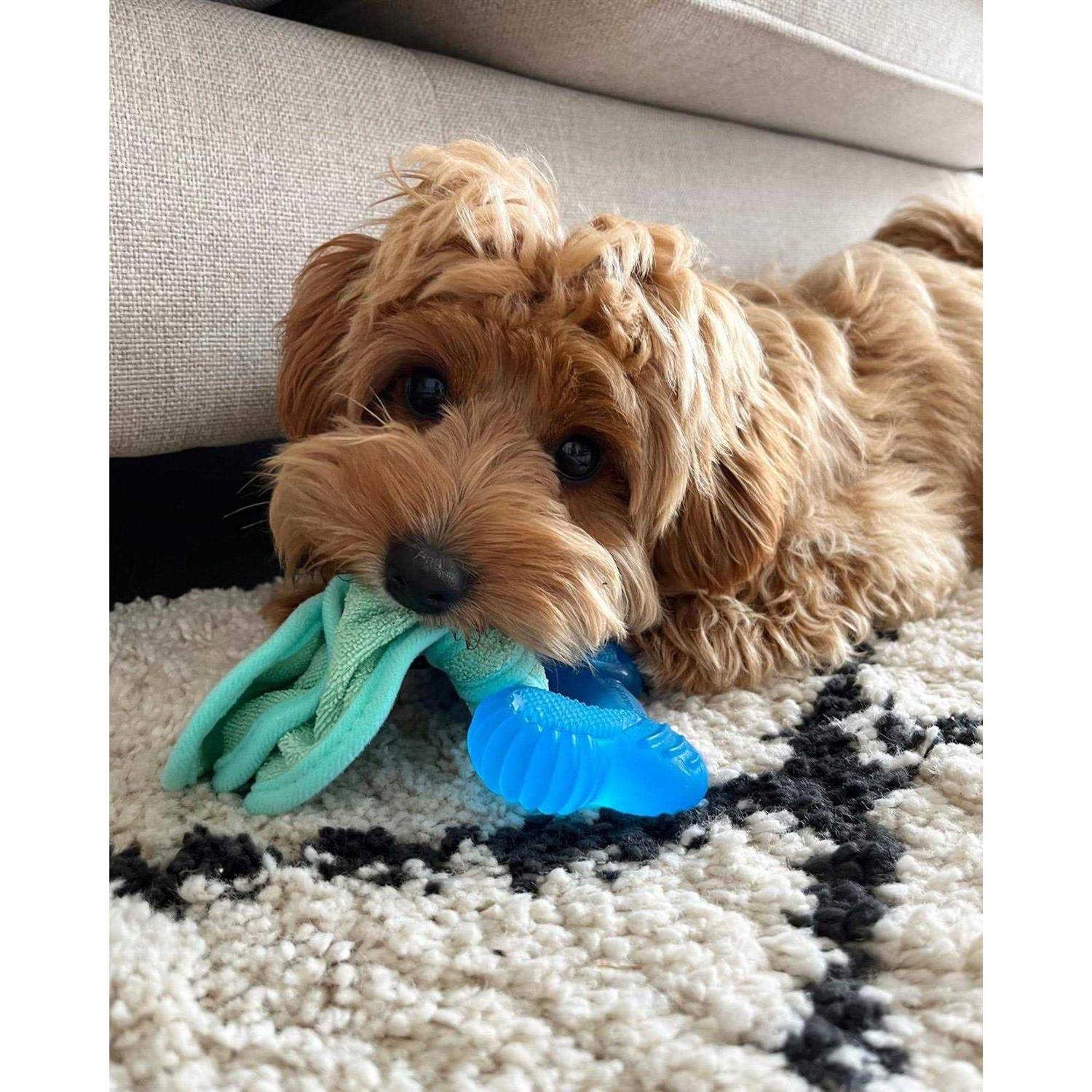 Nylabone Freezer Bone Peanut Butter Chew Puppy Toy