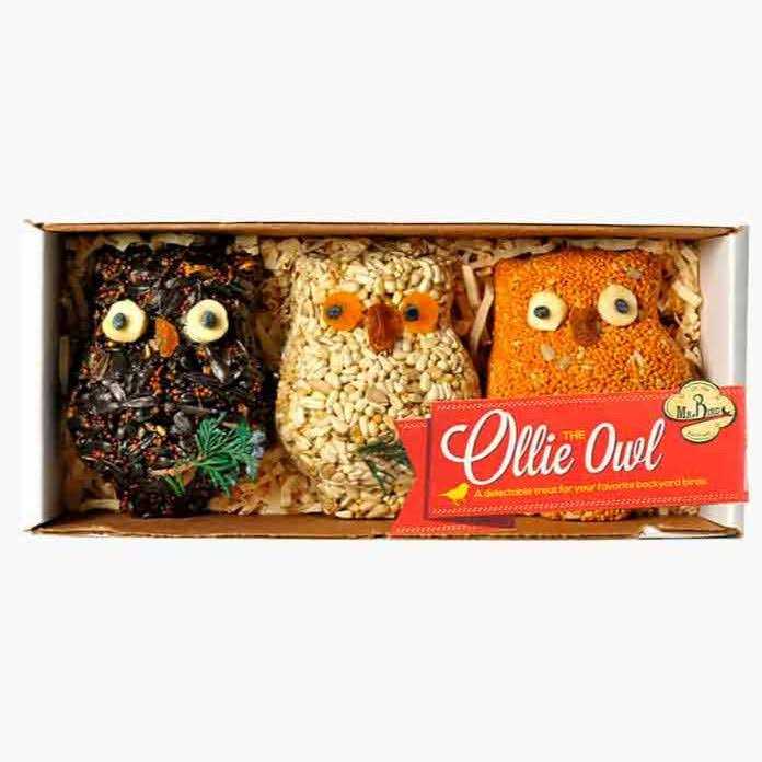Mr. Bird Ollie Owl Bird Seed Ornaments