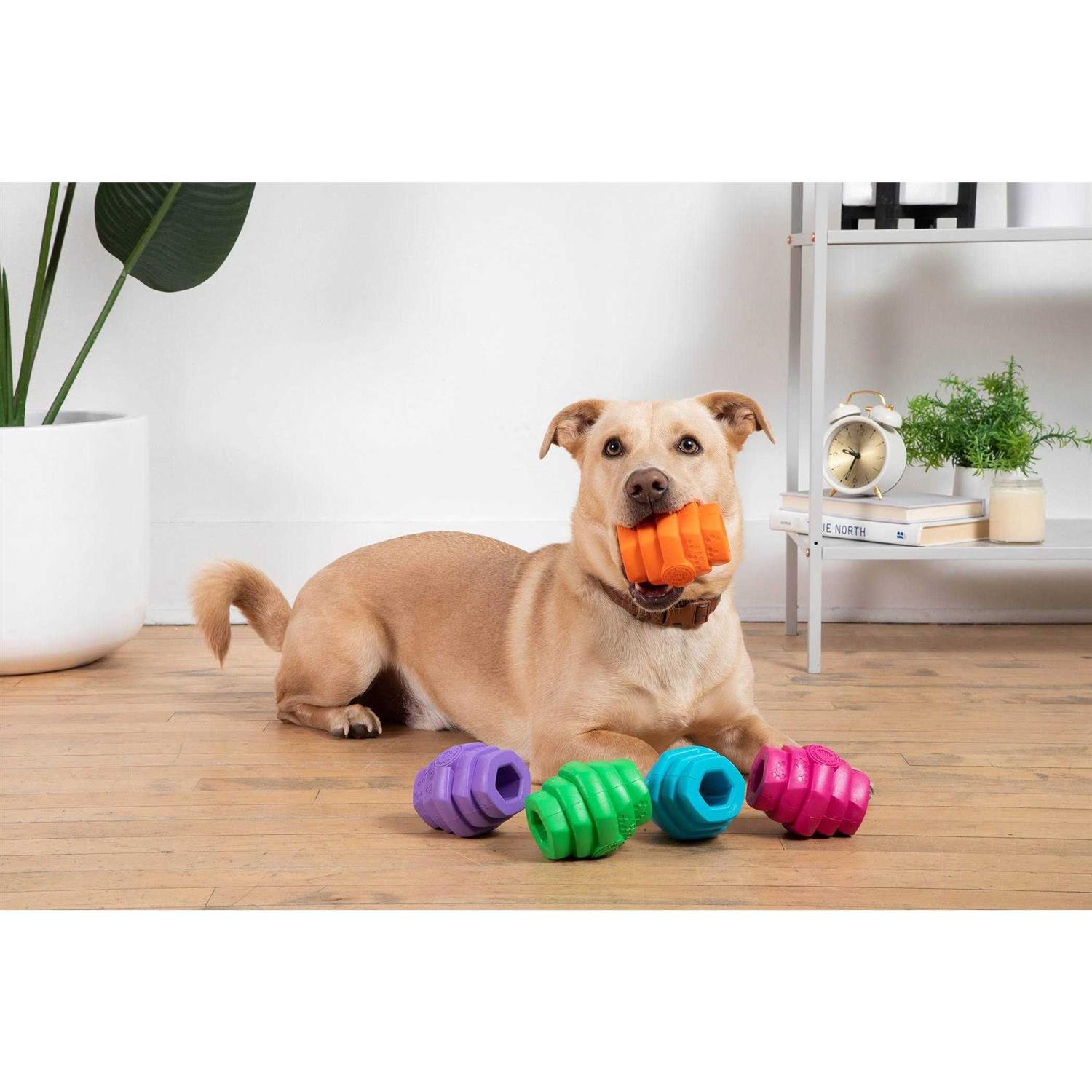 Project Hive Pet Company Dog Chew Toy