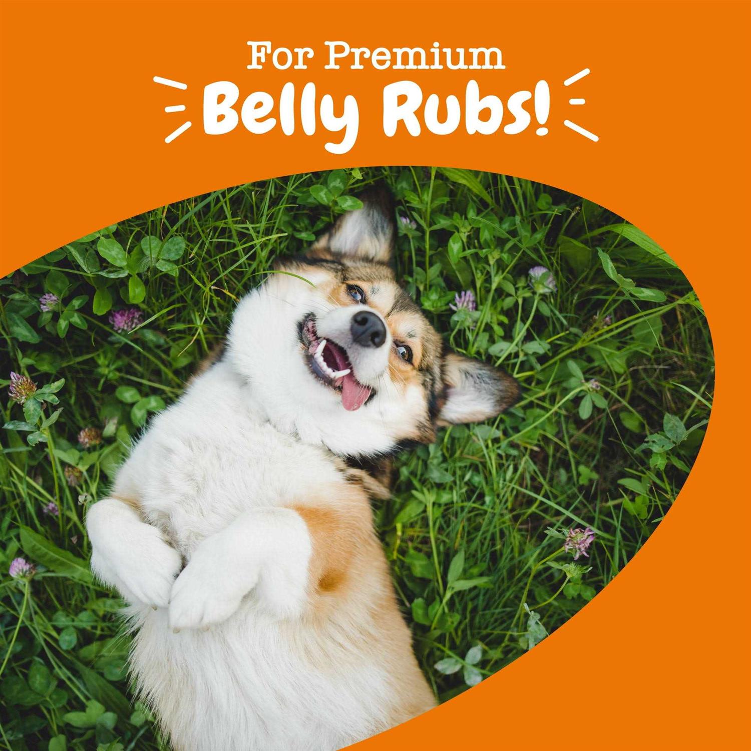 Zesty Paws Probiotic Bites