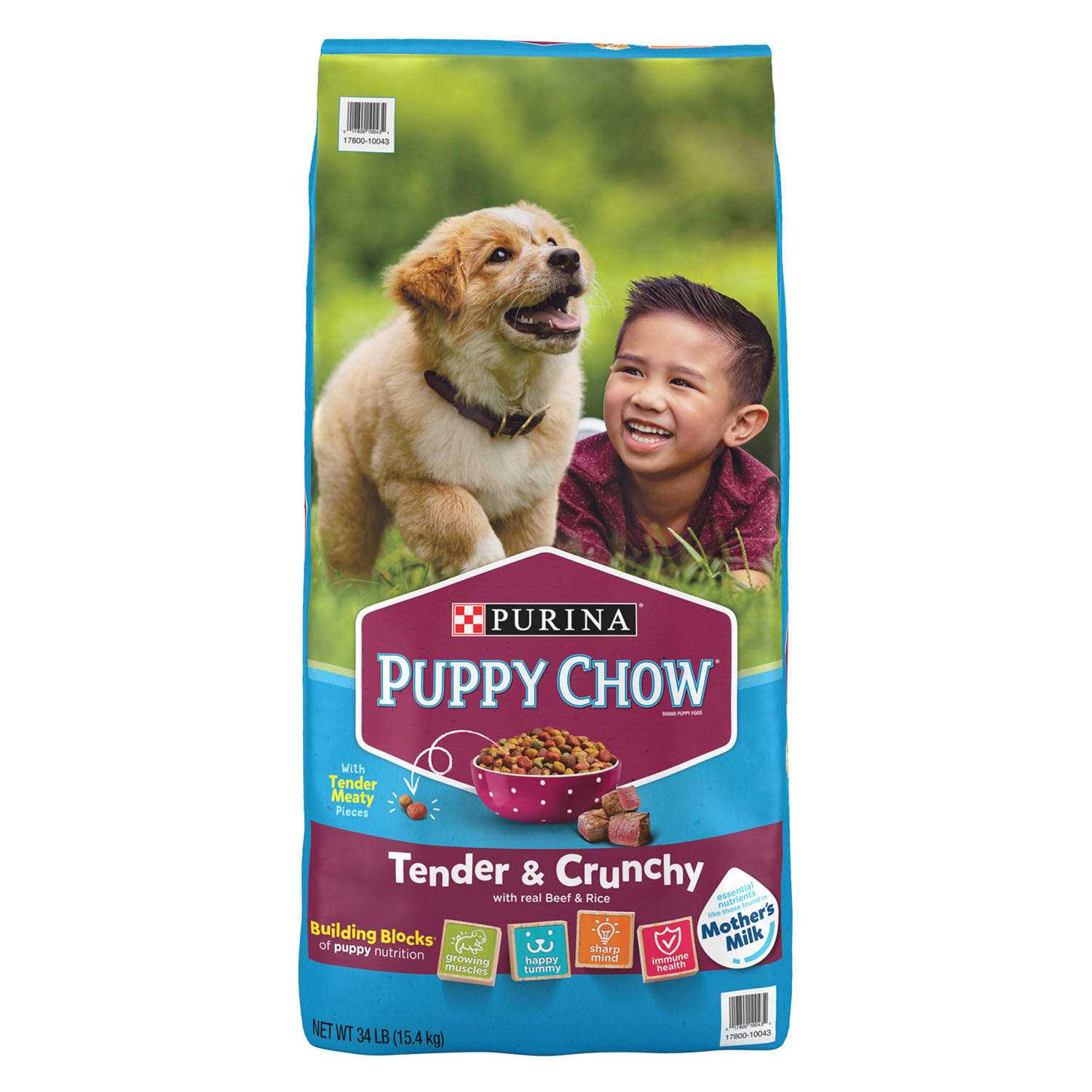 Purina Puppy Chow Tender Crunchy Real Beef Dry Puppy Food