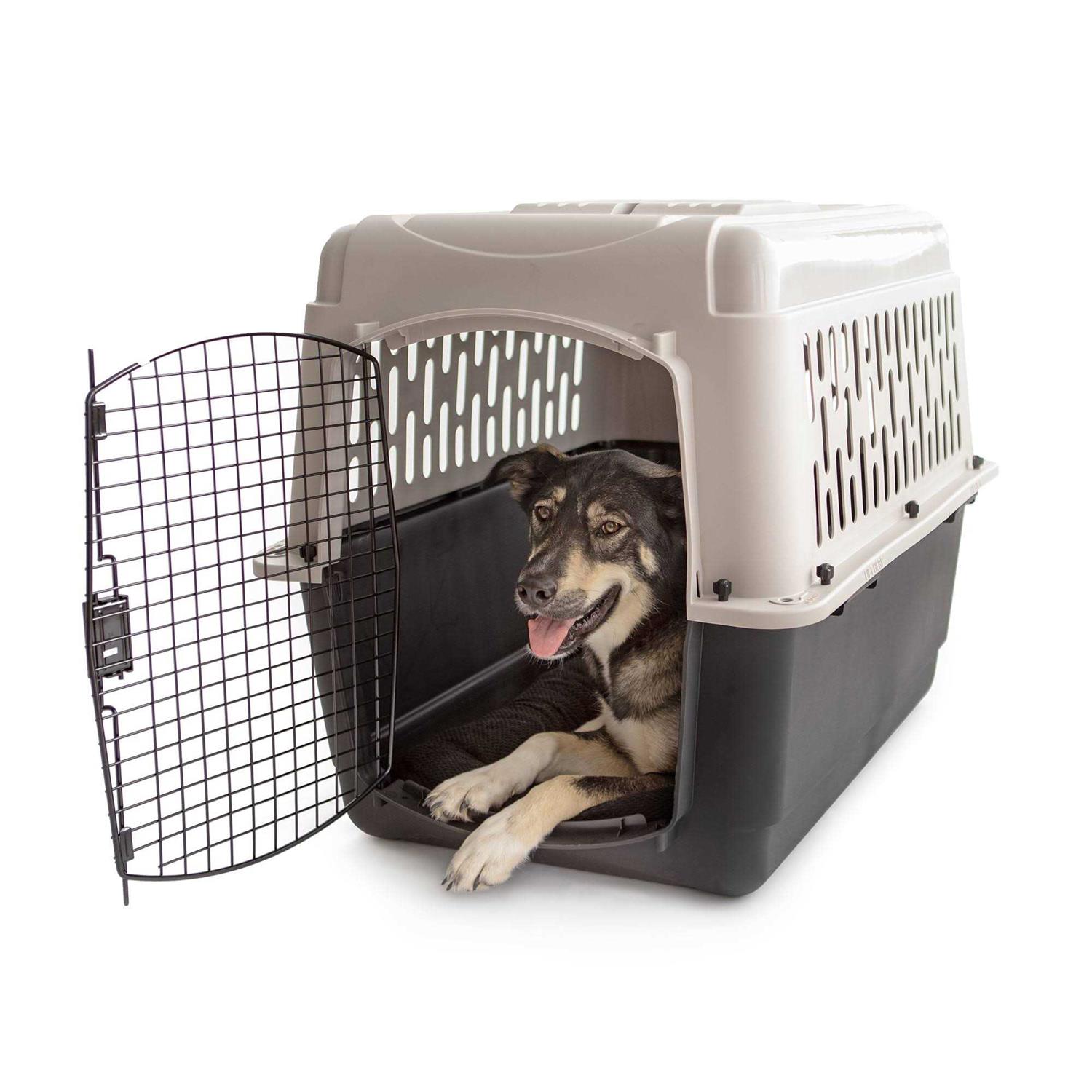 Vibrant Life Dogs Hard-Sided Pet Kennel