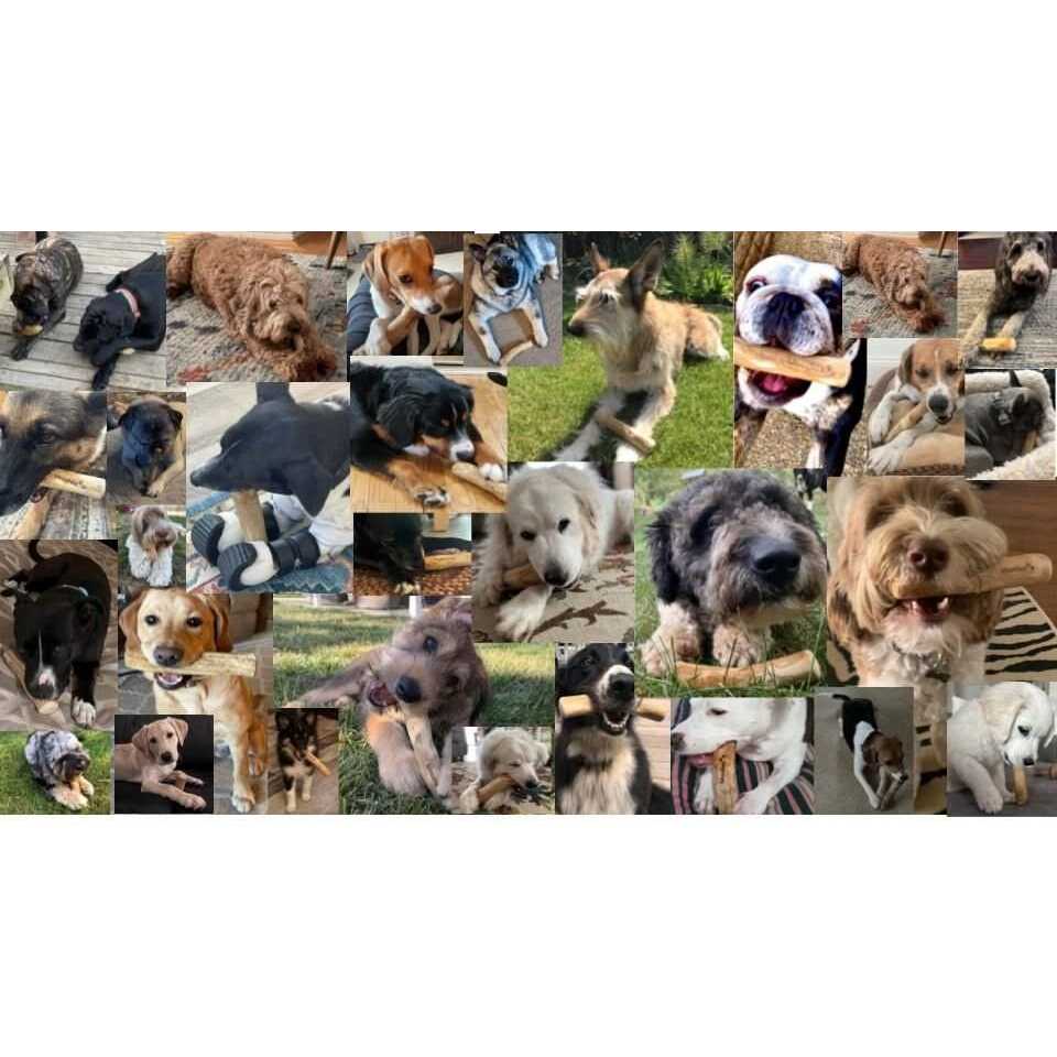 Woodies Dog Chew Toys All-Natural Coffee Wood Strong