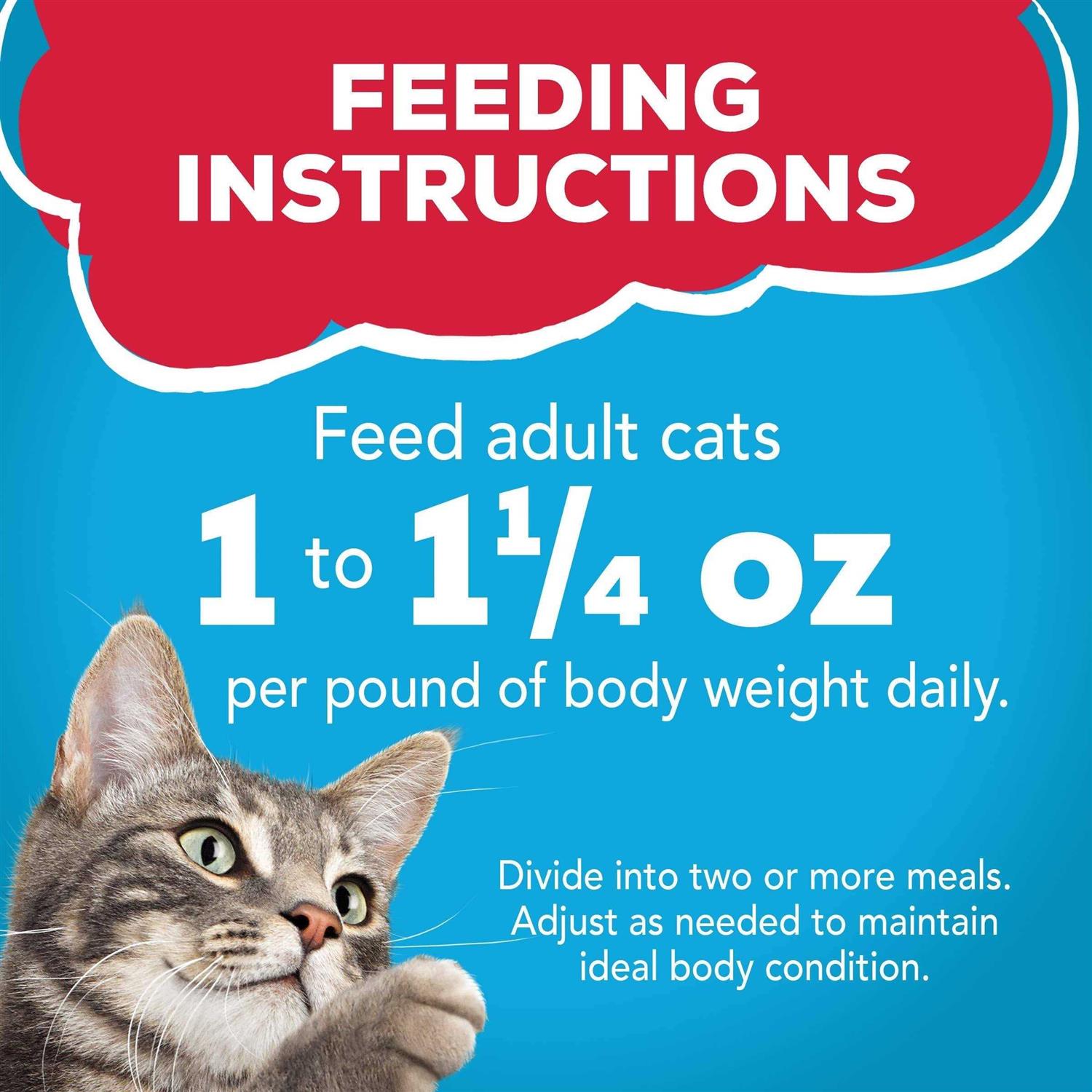 Friskies Prime Filets With Ocean Whitefish & Tuna in Sauce Wet Cat Food