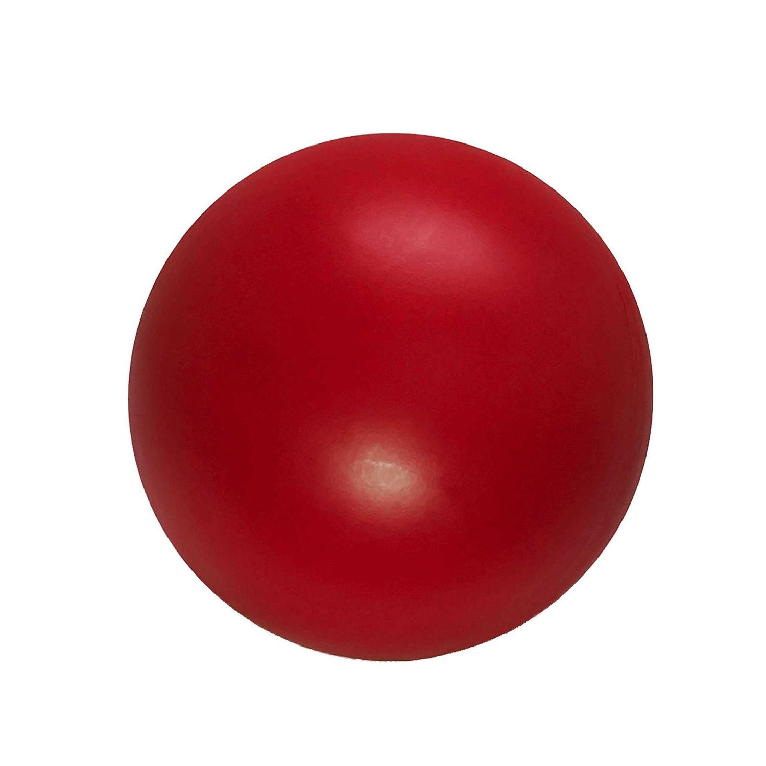 Hueter Toledo Virtually Indestructible Ball 4.5 inches