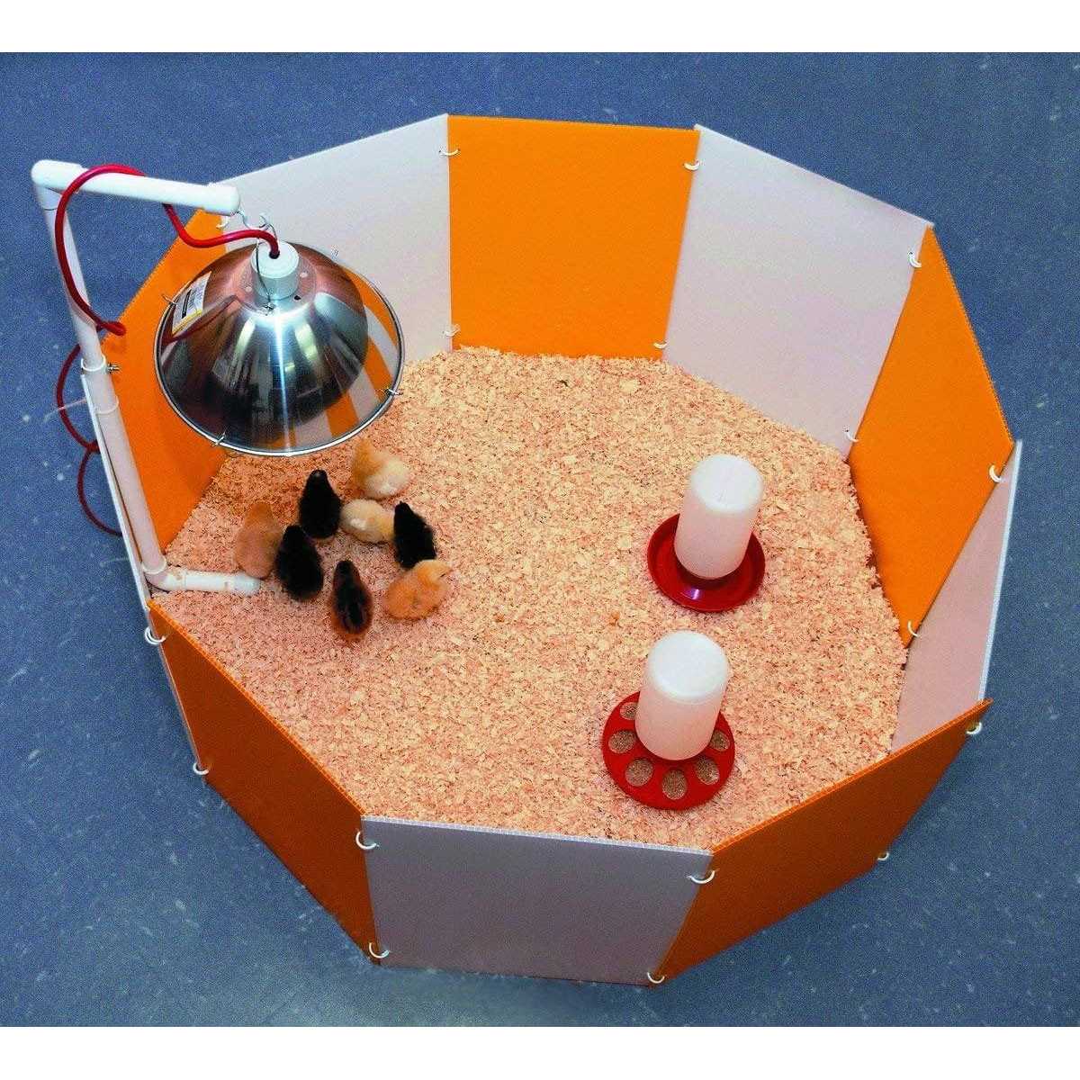 Farm Innovators Baby Chick Starter Home