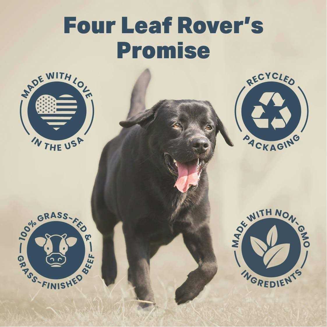 Four Leaf Rover Guts & Glory