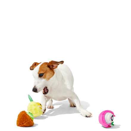 Barkbox Fruity Cutie Tropical Trio Dog Toys Squeaker Ball Toys