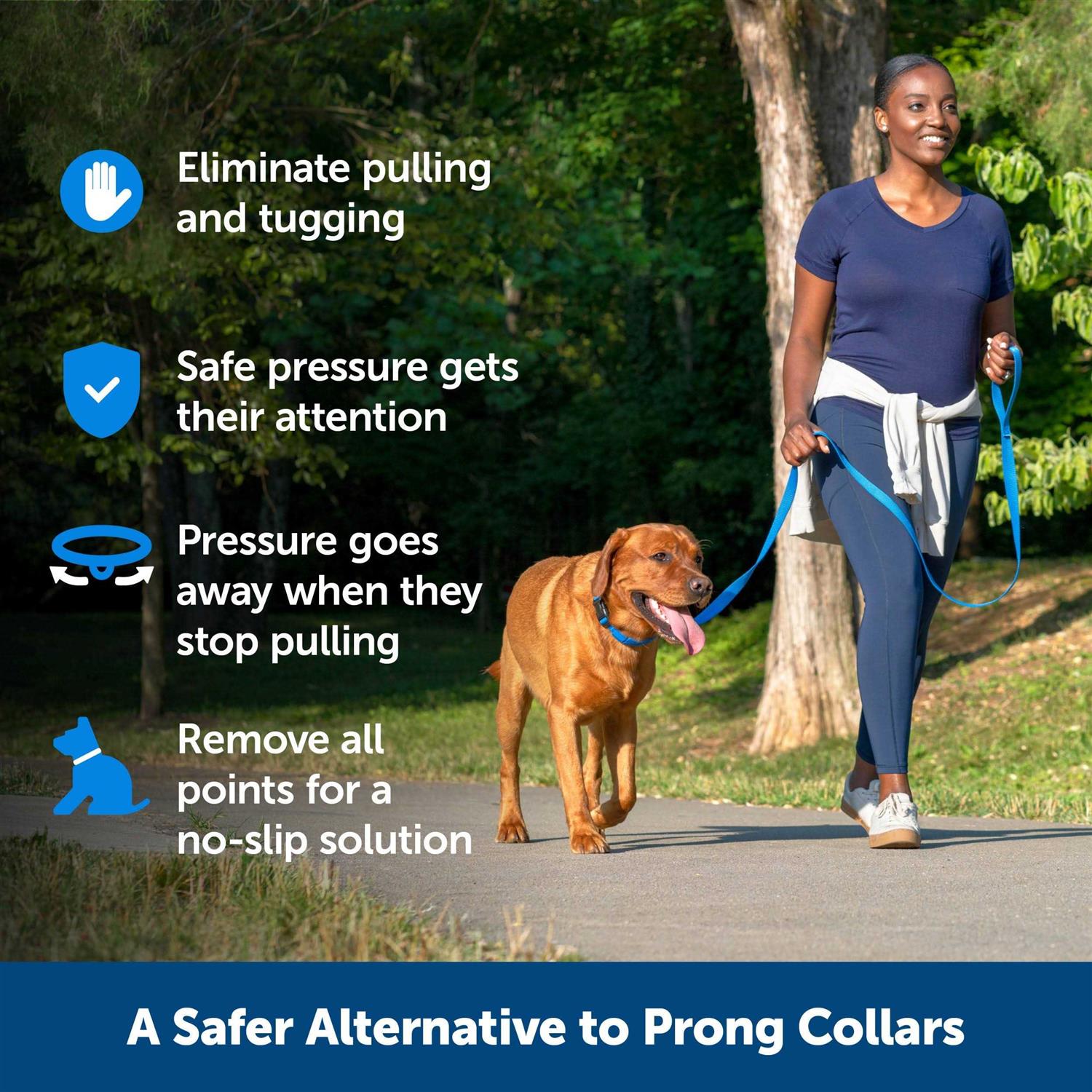 PetSafe Soft Point Training Collar