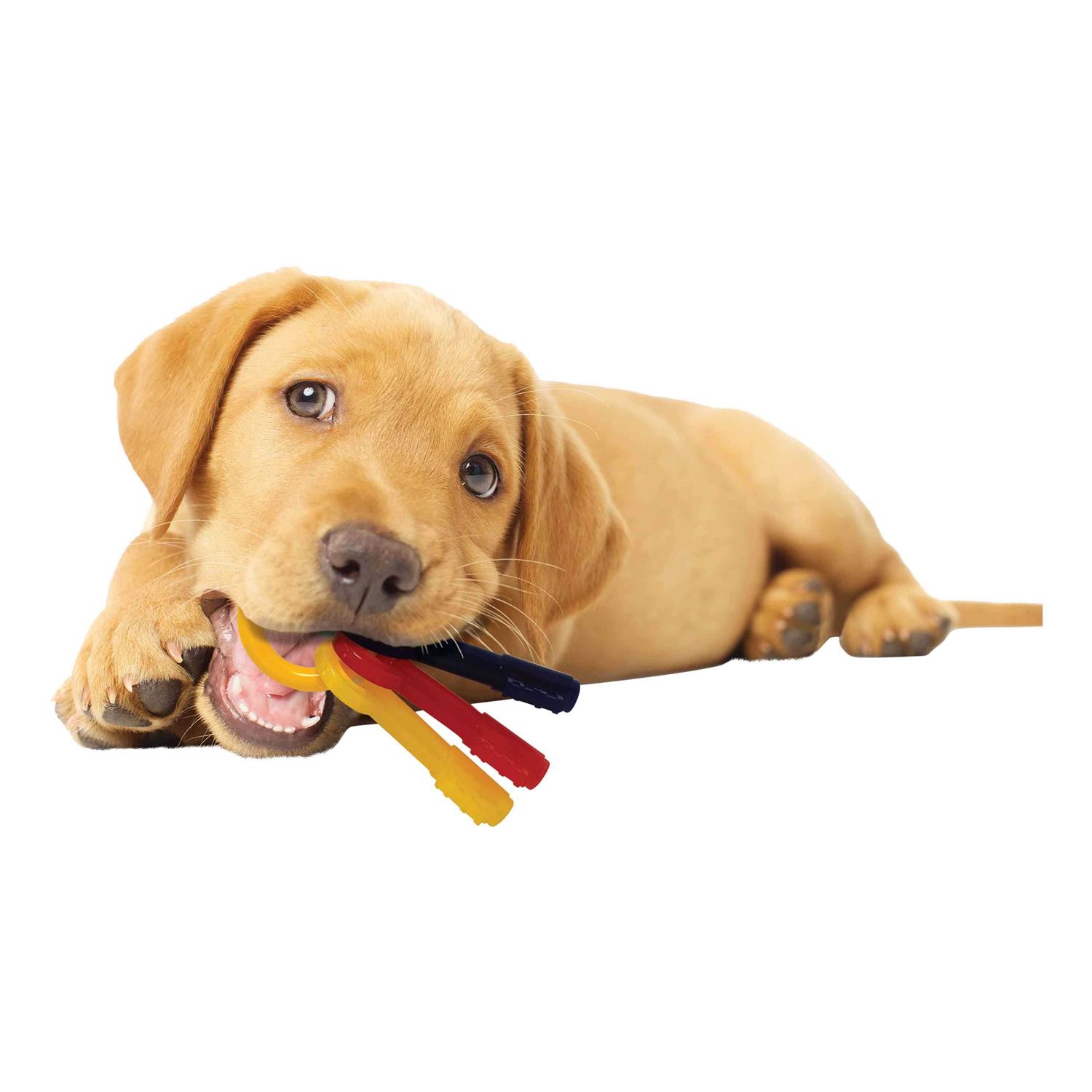Nylabone Puppy Chew Teething Keys