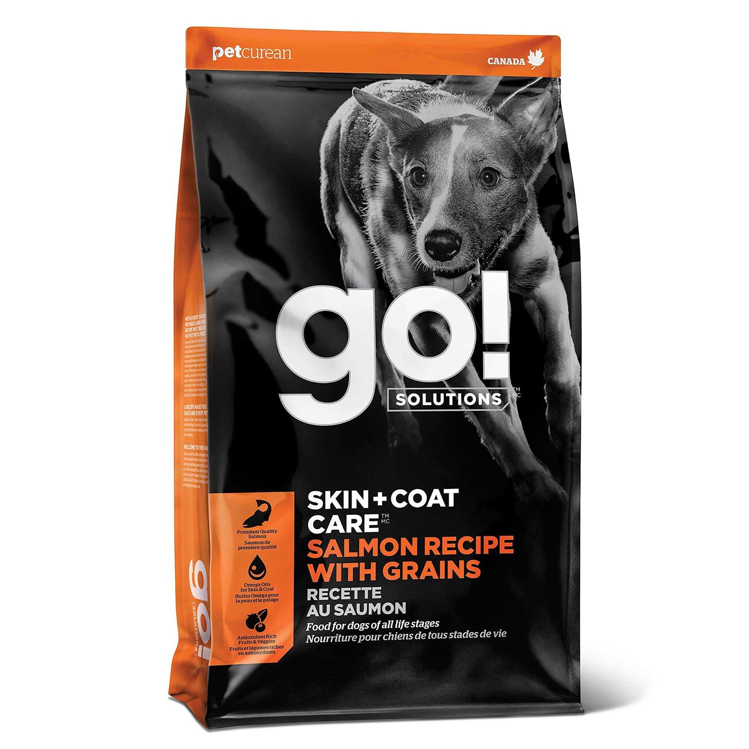 Go! Solutions Skin + Coat Care Salmon Recipe Dry Dog Food