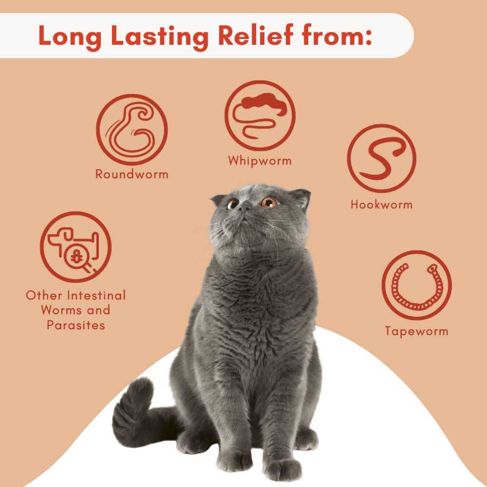 BestLife4Pets Broad Spectrum Dewormer for Cats and Kittens