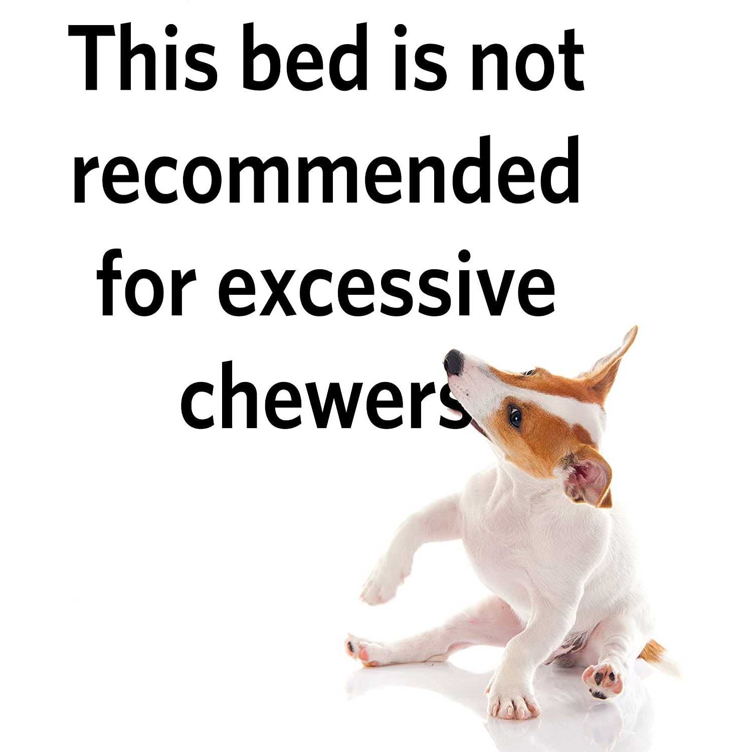 Quiet Time Maxx Pet Bed