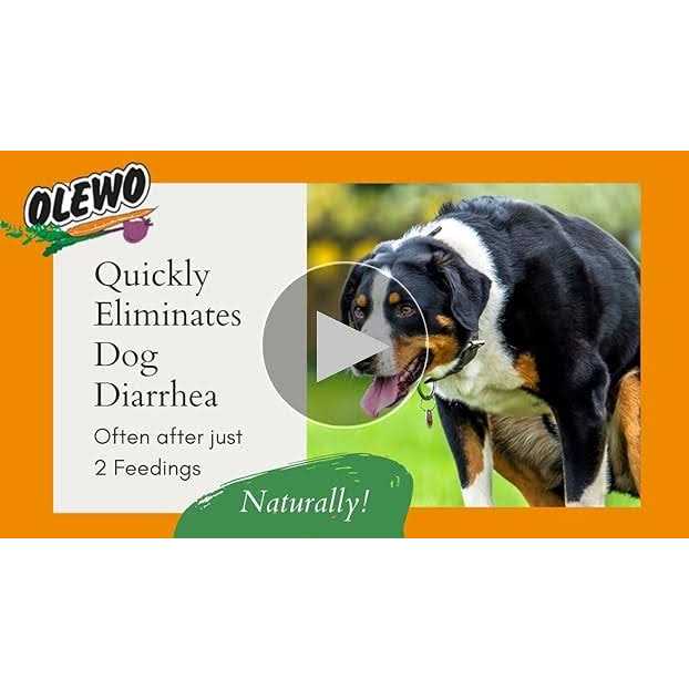 Olewo Original Carrots for Dogs Fiber for Dogs Keep Poop Firm