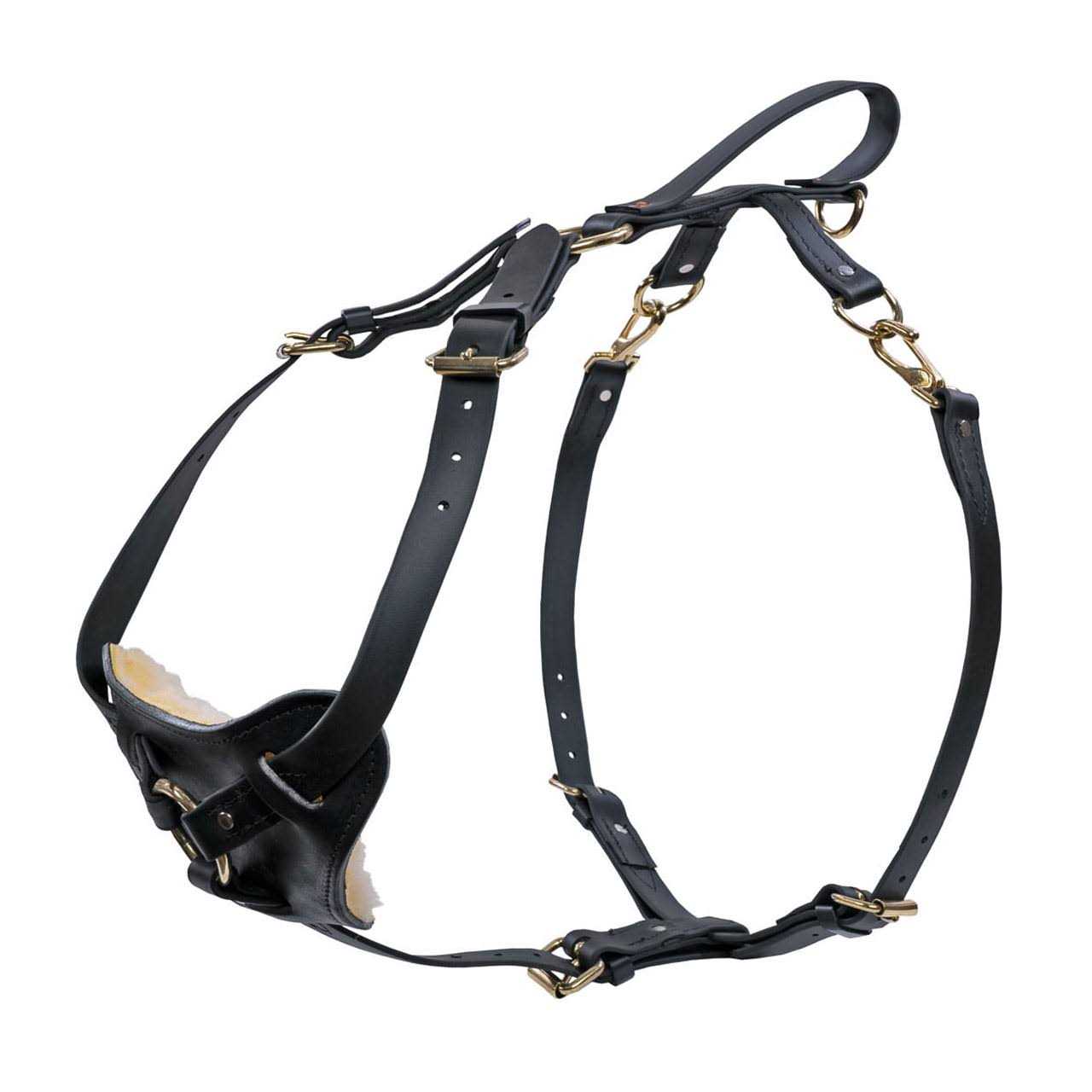 Ray Allen Manufacturing Signature K9 Biothane Multi-Function Harness