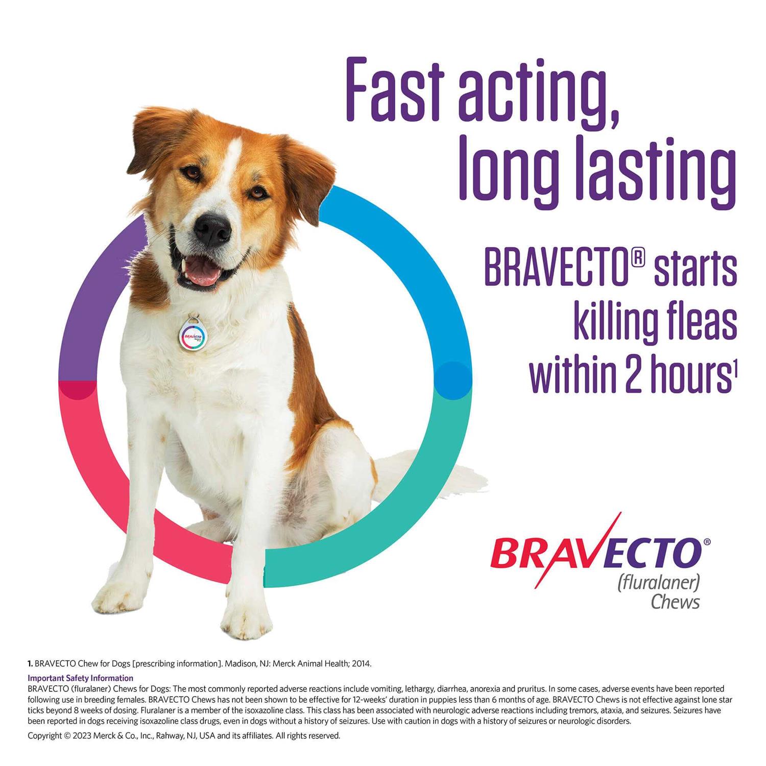 Bravecto Chew for Dogs 88-123 lbs