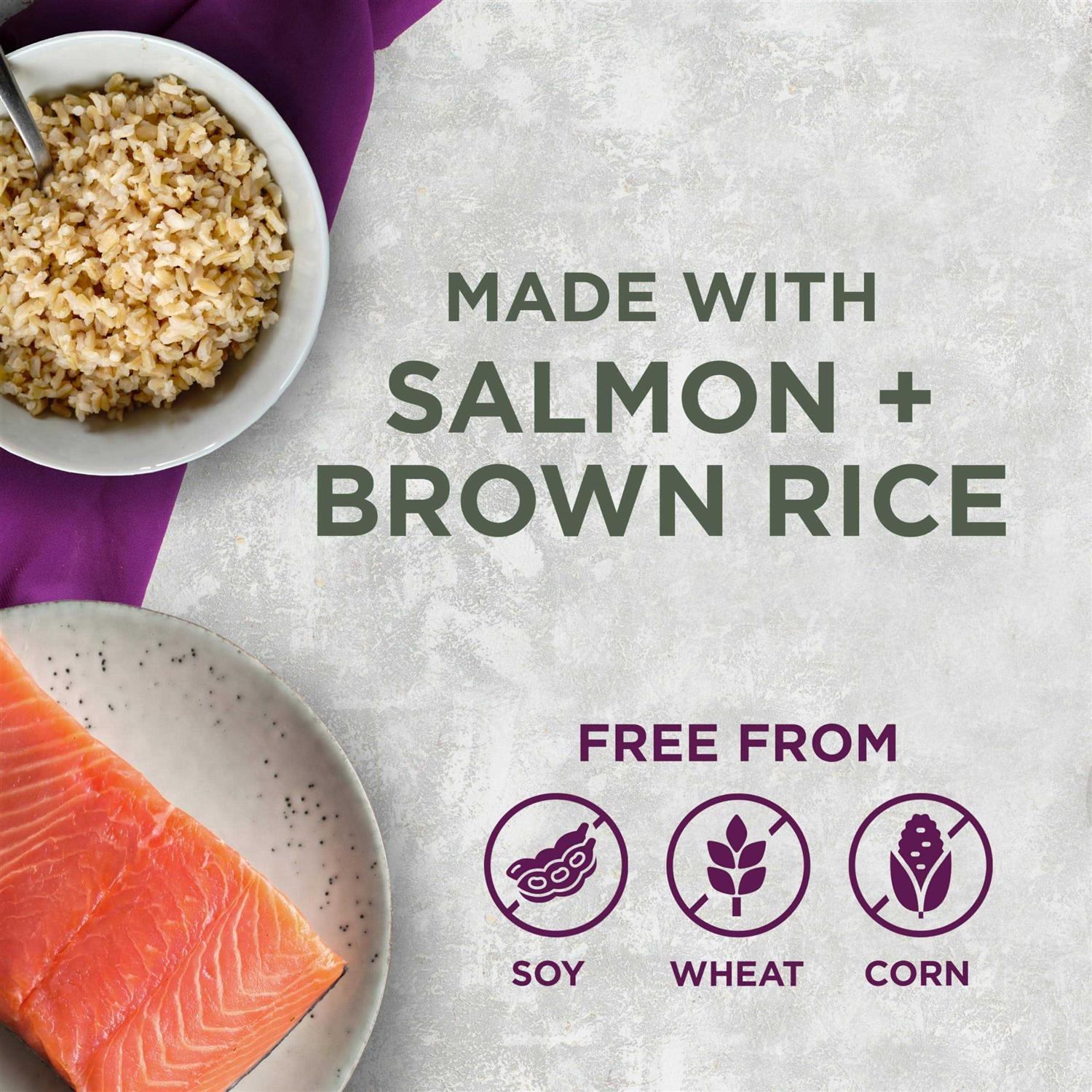 Blackwood Pet Food All Life Stages Special Diet