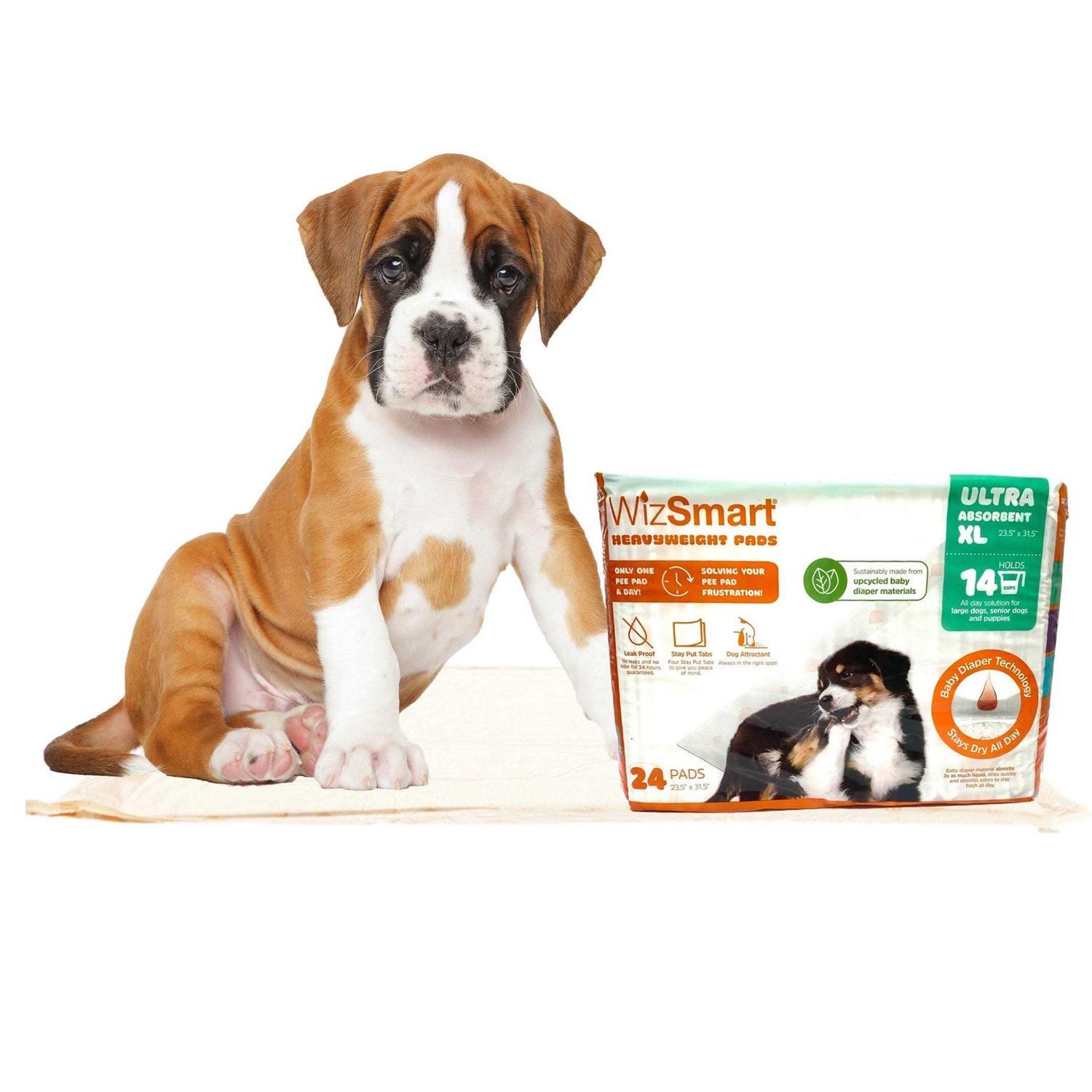 WizSmart All Day Dry Dog Pads