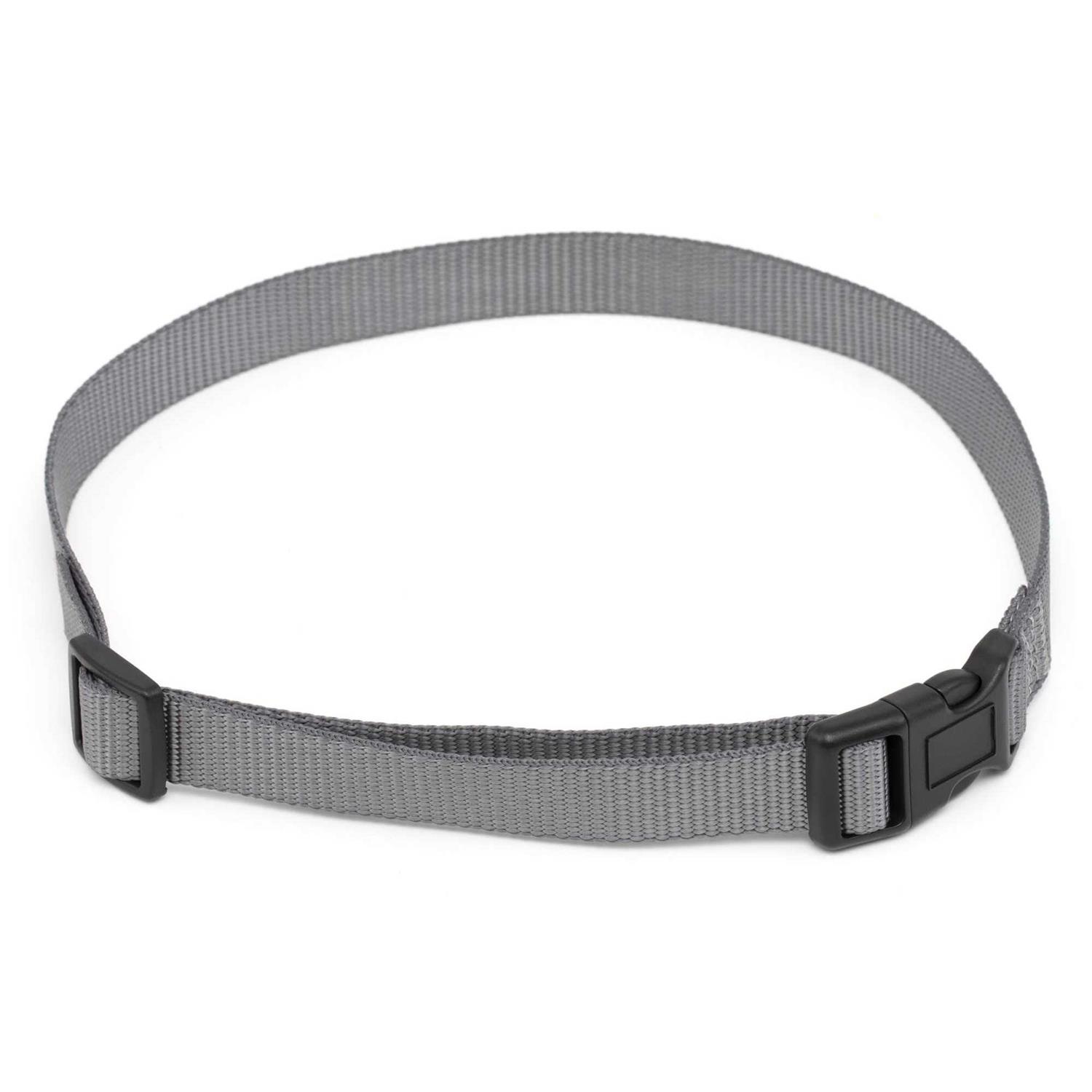 PetSafe 3/4 Replacement Collar Strap with no holes