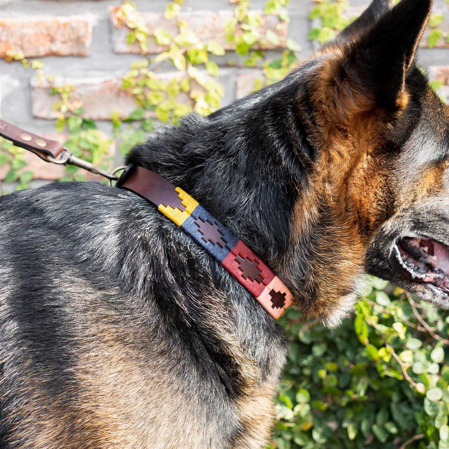 GauchoLife Polo Dog Collar Leather Hand-Stitched