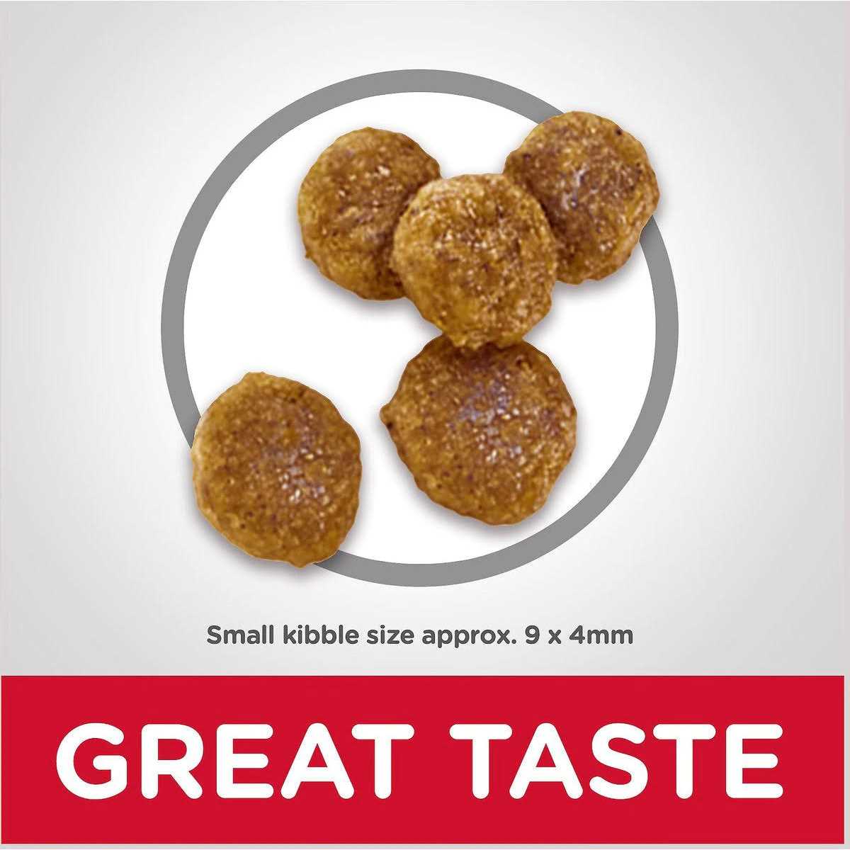 Science Diet Dog Food Recipe