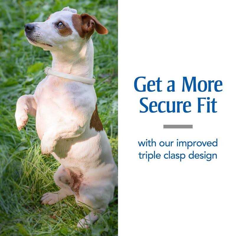 PetArmor Plus Flea & Tick Collar for Dogs