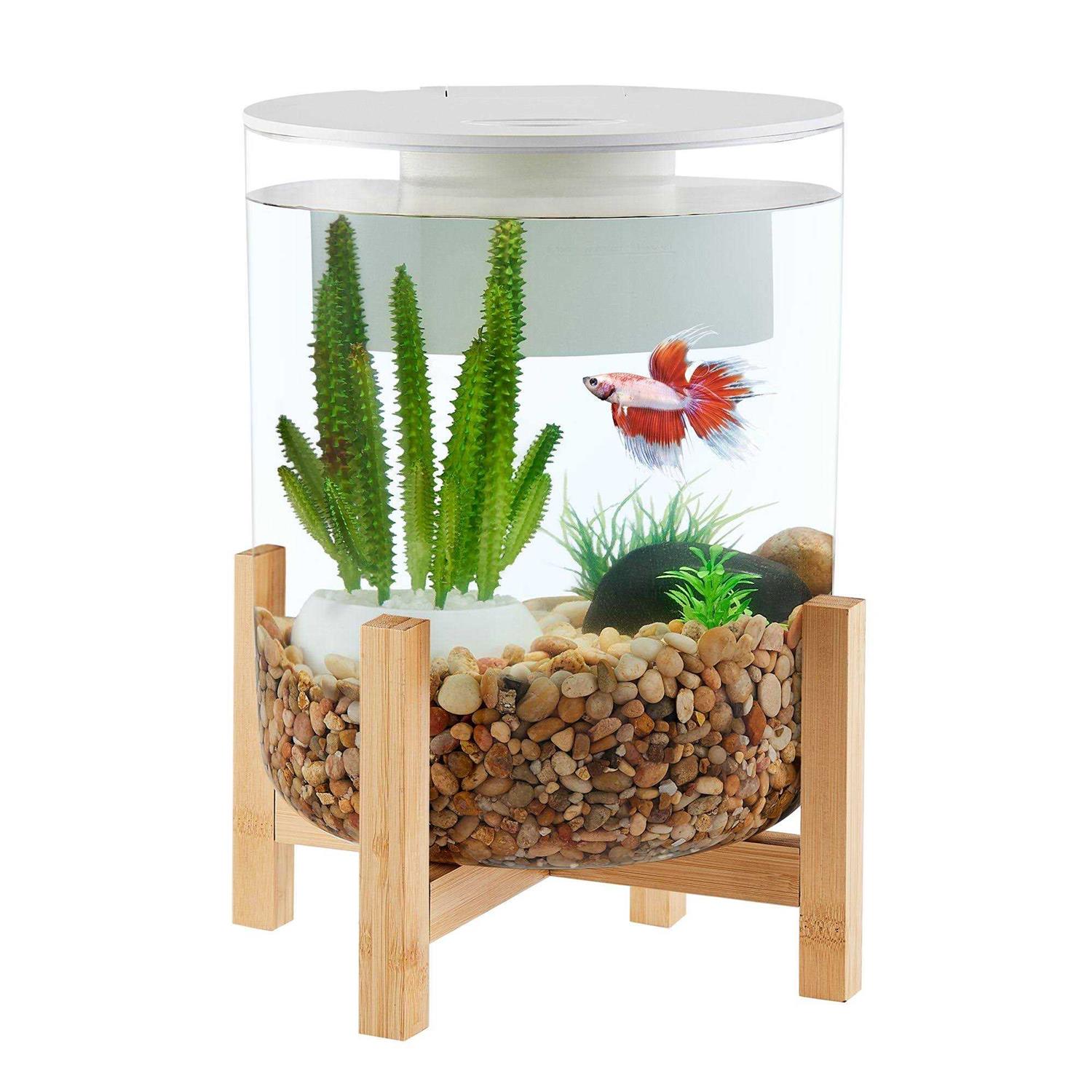 Top Fin Bamboo Baseal Aquarium
