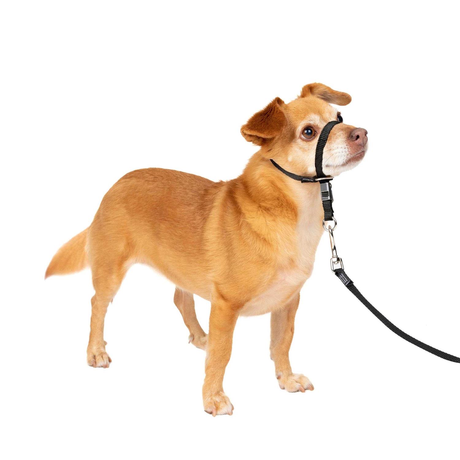 PetSafe Gentle Leader Headcollar