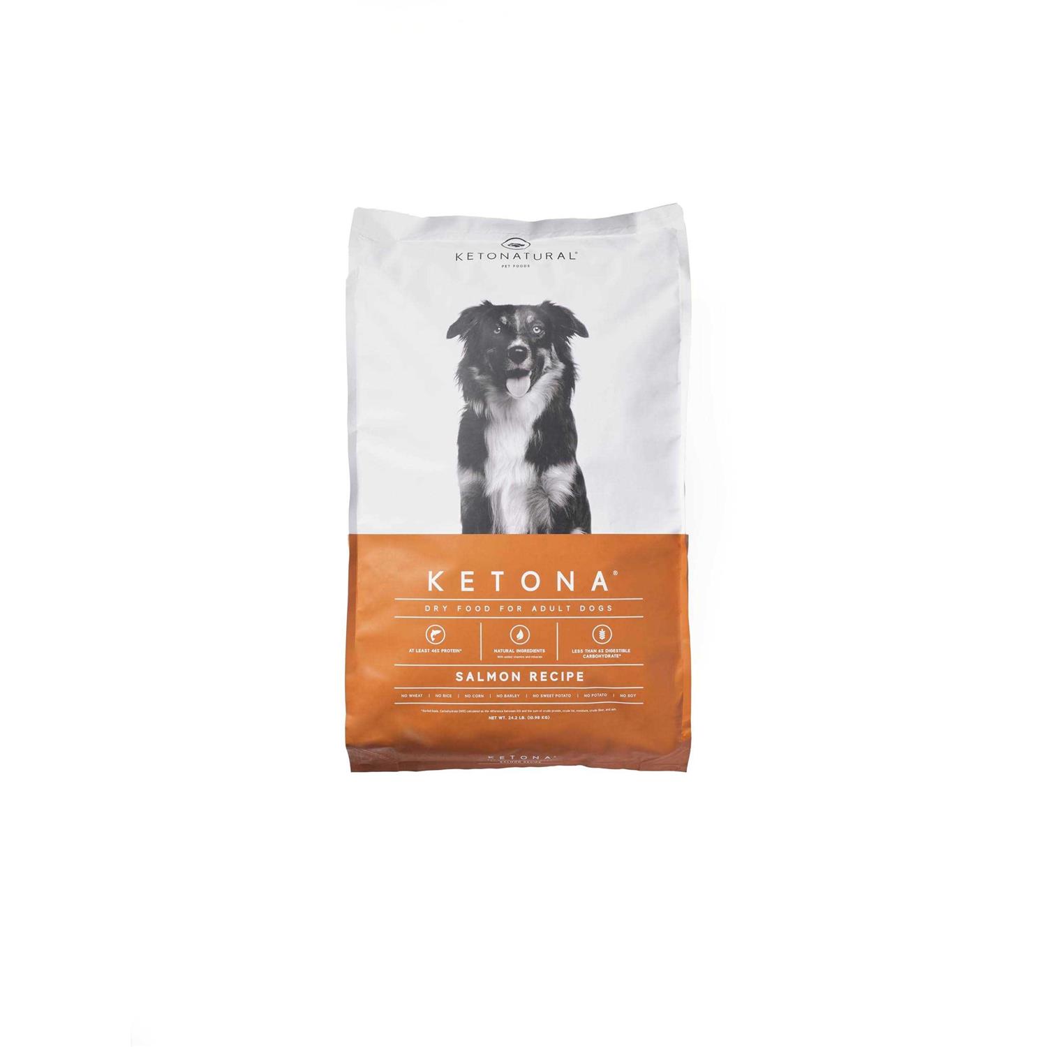 Ketona Salmon Recipe Adult Dry Dog Food Natural Low Carb High Protein