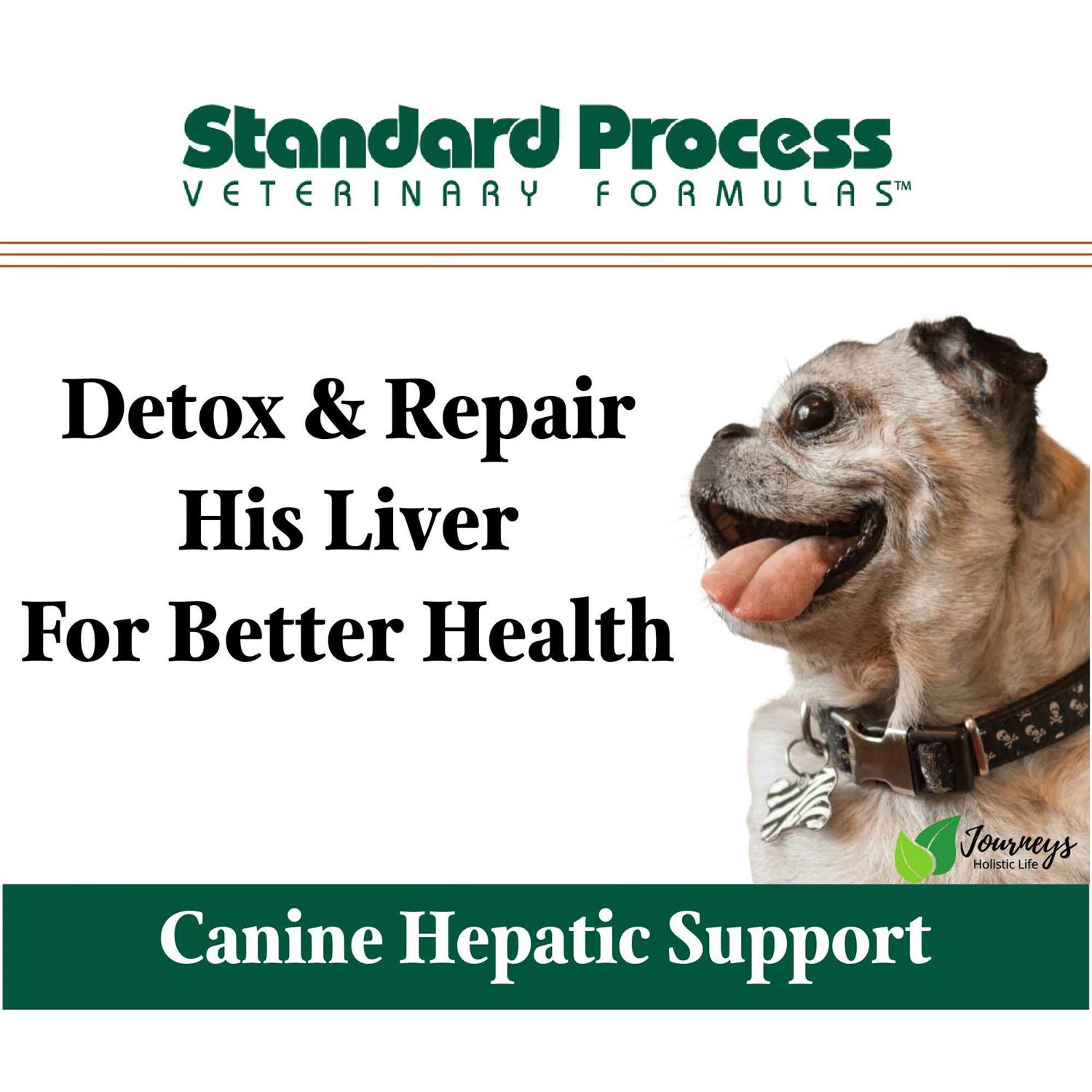 Canine Hepatic Support