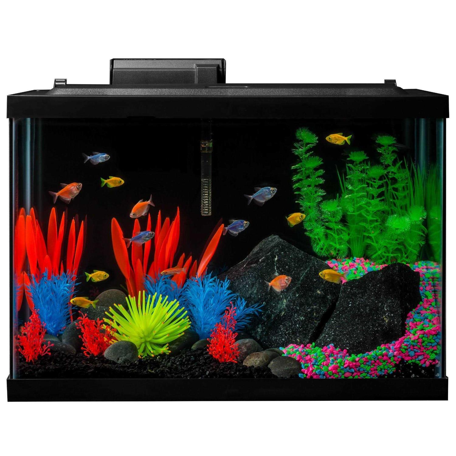 GloFish 20 Gallon Aquarium Kit with LED Lights Decor Heater and Filter