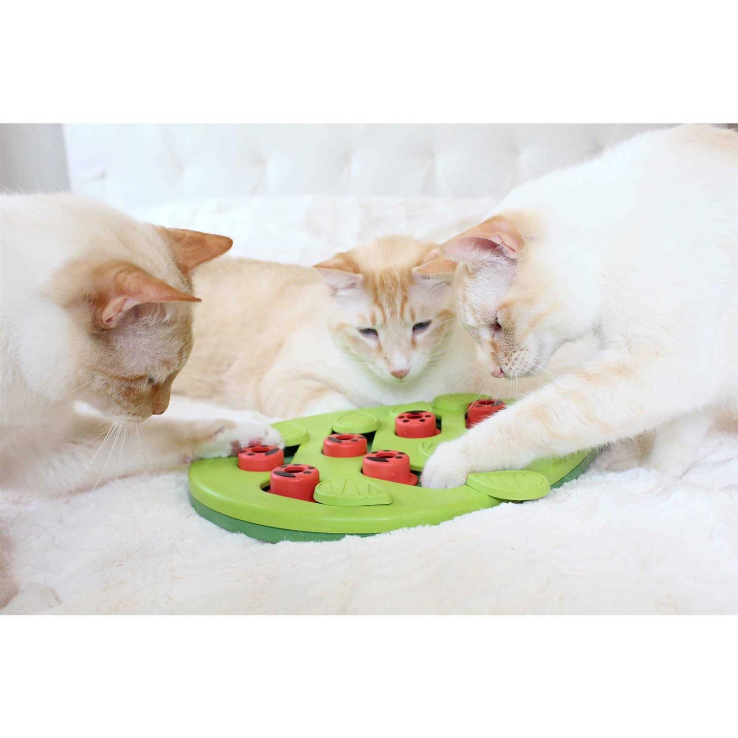 Petstages Buggin Out Puzzle Play Cat Toy